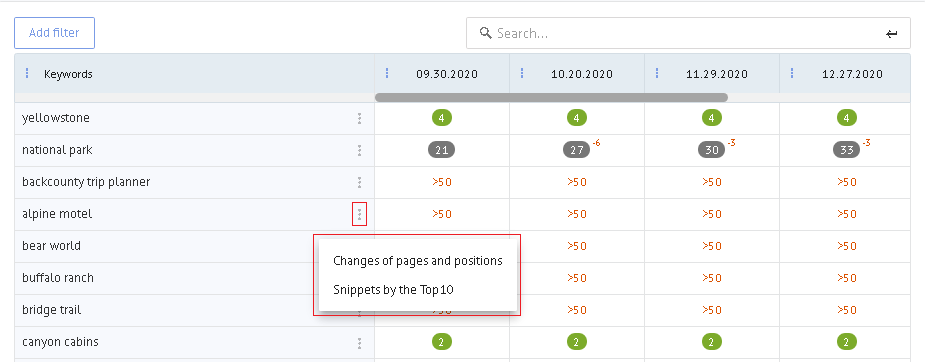 Competitor Snippet View
