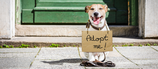 What Orphan Pages Are and How to Fix SEO Mistakes